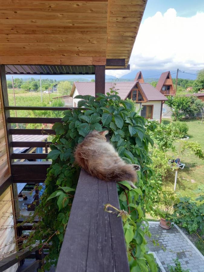 Гостевой Дом Фазенда Hotel Pizunda Bagian luar foto