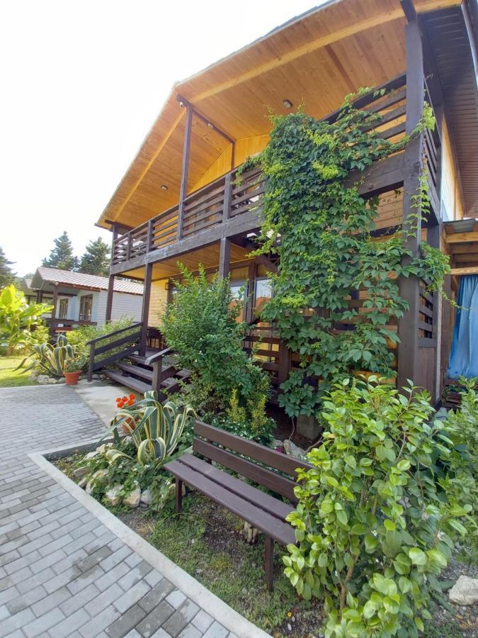 Гостевой Дом Фазенда Hotel Pizunda Bagian luar foto